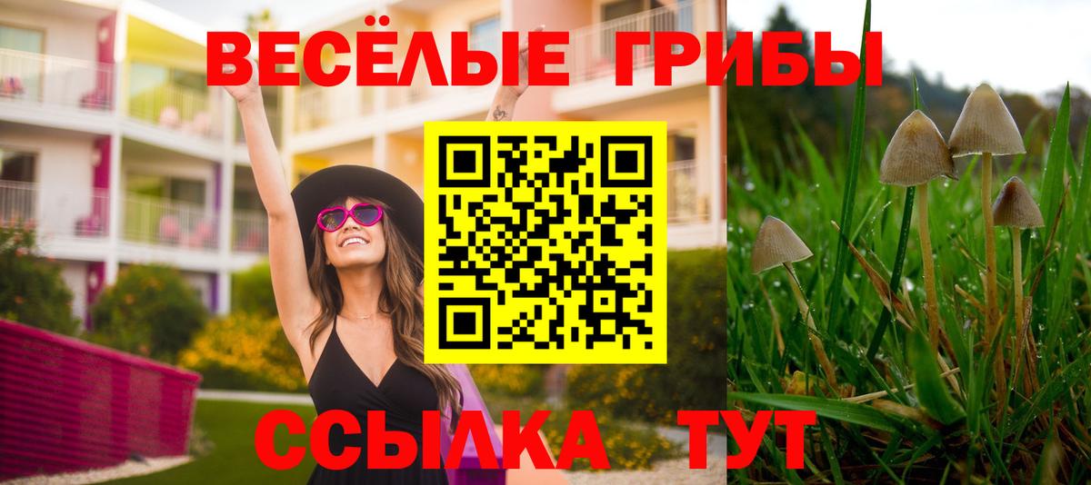 Галлюциногенные грибы мицелий Семилуки