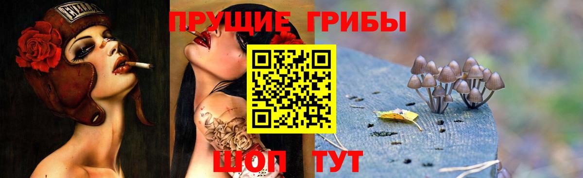 Галлюциногенные грибы мухоморы  Псилоцибиновые грибы GOLDEN TEACHER  Вход с VPN  Семилуки 